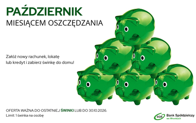 Zdjęcie do ŚWINKI SZUKAJĄ NOWYCH DOM&Oacute;W